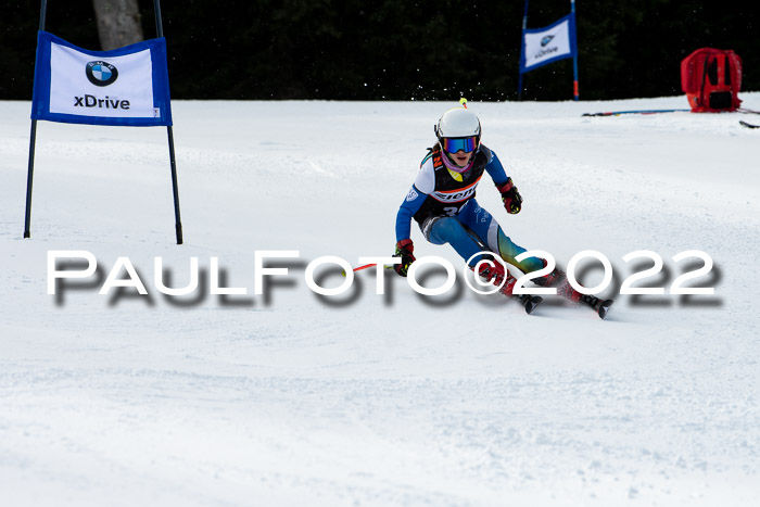 Ziener Kids Race Cross U12  Reg III + Ziener Cup WF