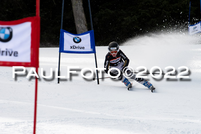 Ziener Kids Race Cross U12  Reg III + Ziener Cup WF