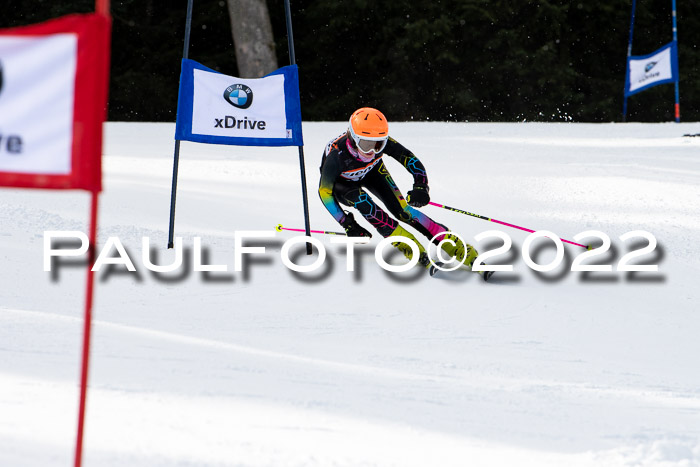 Ziener Kids Race Cross U12  Reg III + Ziener Cup WF