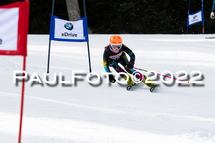 Ziener Kids Race Cross U12  Reg III + Ziener Cup WF