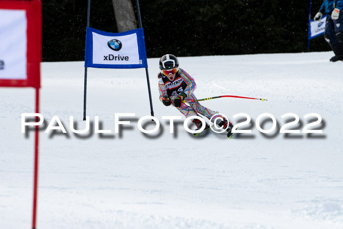 Ziener Kids Race Cross U12  Reg III + Ziener Cup WF