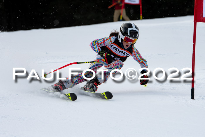 Ziener Kids Race Cross U12  Reg III + Ziener Cup WF