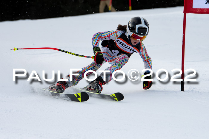 Ziener Kids Race Cross U12  Reg III + Ziener Cup WF