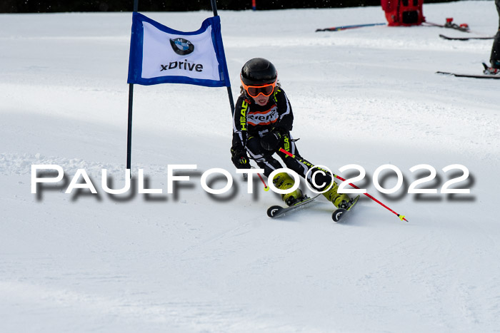 Ziener Kids Race Cross U12  Reg III + Ziener Cup WF