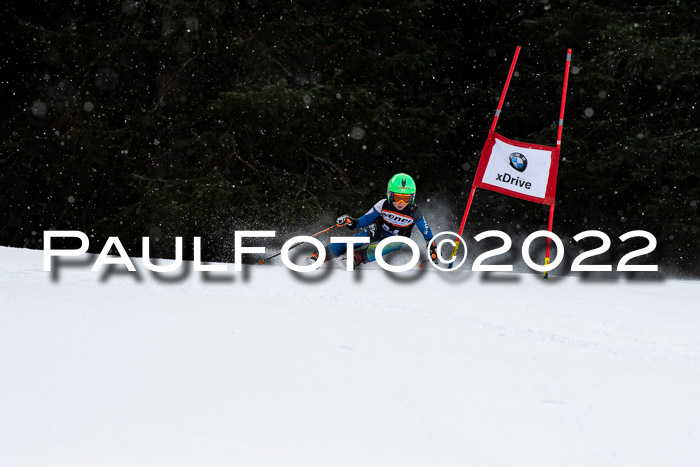 Ziener Kids Race Cross U12  Reg III + Ziener Cup WF