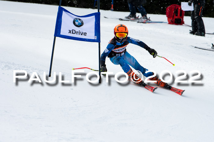 Ziener Kids Race Cross U12  Reg III + Ziener Cup WF