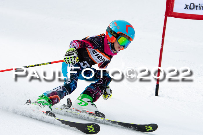 Ziener Kids Race Cross U12  Reg III + Ziener Cup WF