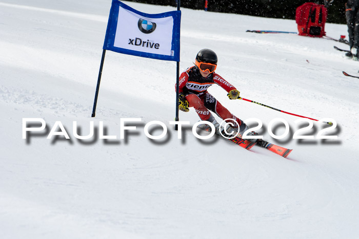 Ziener Kids Race Cross U12  Reg III + Ziener Cup WF