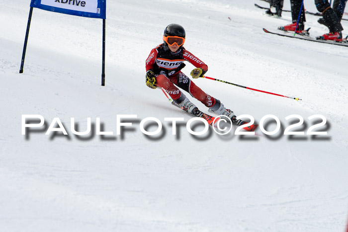 Ziener Kids Race Cross U12  Reg III + Ziener Cup WF