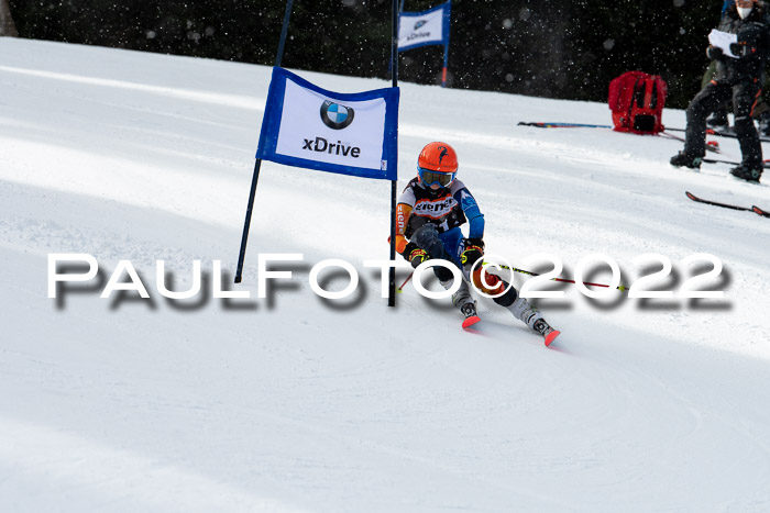 Ziener Kids Race Cross U12  Reg III + Ziener Cup WF