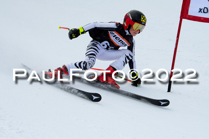 Ziener Kids Race Cross U12  Reg III + Ziener Cup WF