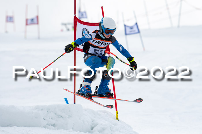 Ziener Kids Race Cross U12  Reg III + Ziener Cup WF