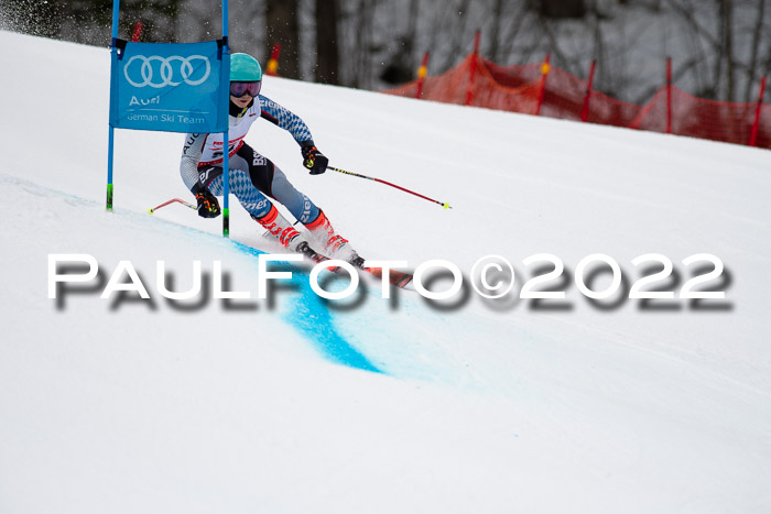 Dt. Schülercup U16 SG 1 + 2, 20.02.2022