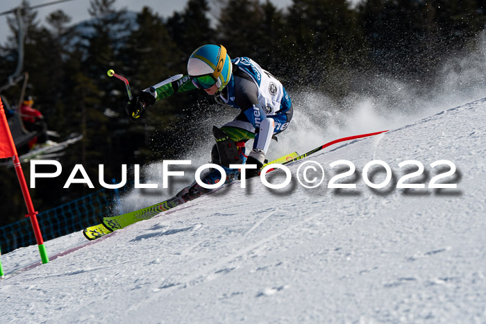 Ziener Kids Slalom Cross U12  Reg 4