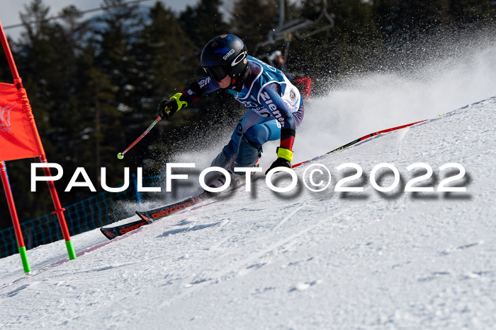 Ziener Kids Slalom Cross U12  Reg 4