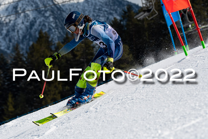 Ziener Kids Slalom Cross U12  Reg 4