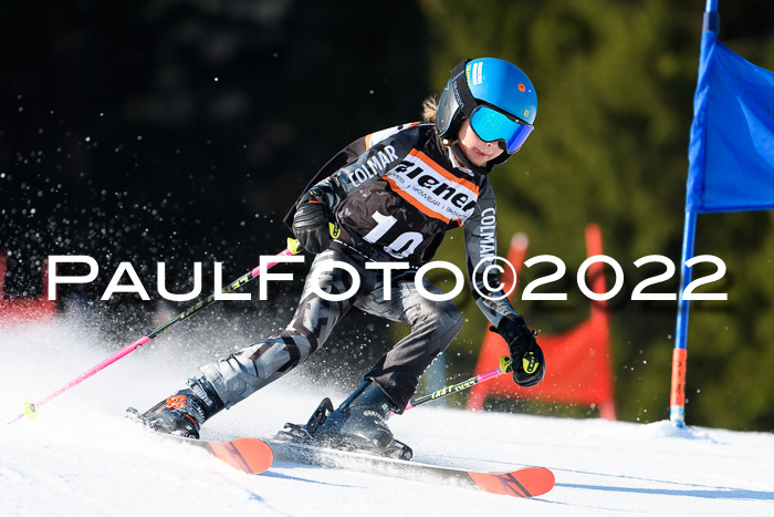 7. Ziener Cup WF + WFM, 05.03.2022