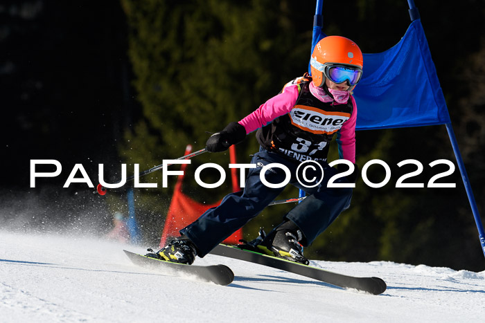 7. Ziener Cup WF + WFM, 05.03.2022
