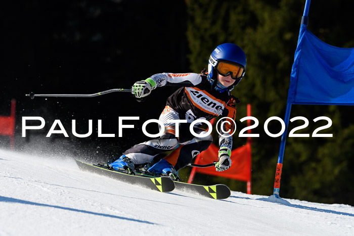 7. Ziener Cup WF + WFM, 05.03.2022