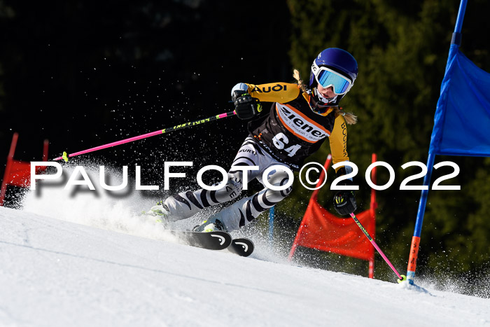 7. Ziener Cup WF + WFM, 05.03.2022