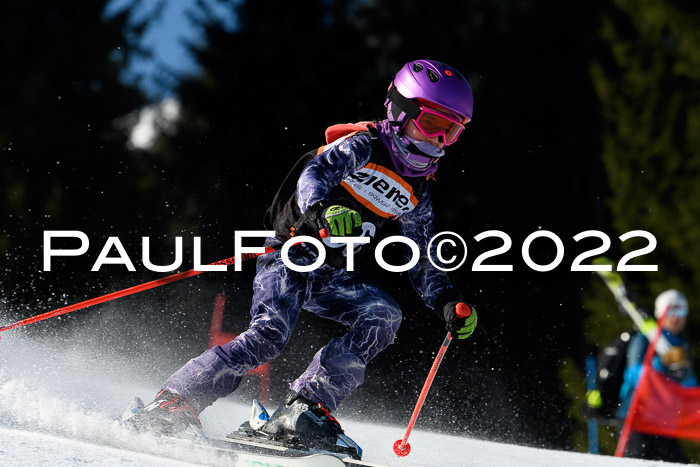 7. Ziener Cup WF + WFM, 05.03.2022