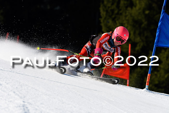 7. Ziener Cup WF + WFM, 05.03.2022