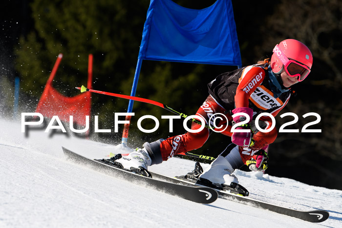 7. Ziener Cup WF + WFM, 05.03.2022