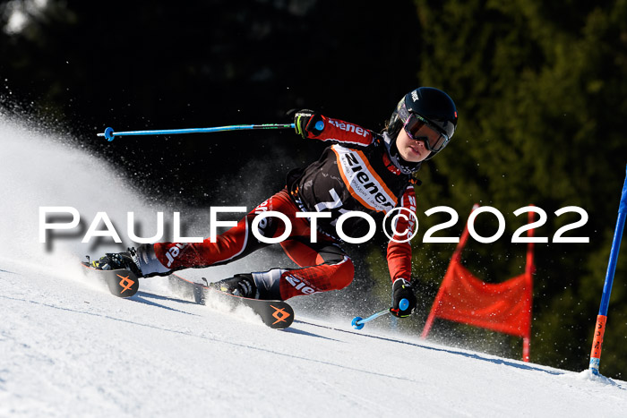 7. Ziener Cup WF + WFM, 05.03.2022
