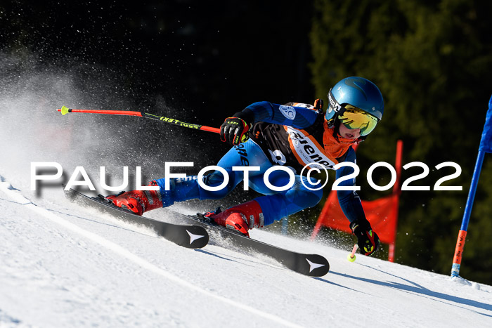 7. Ziener Cup WF + WFM, 05.03.2022