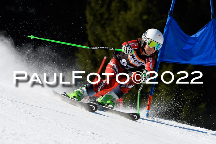 7. Ziener Cup WF + WFM, 05.03.2022