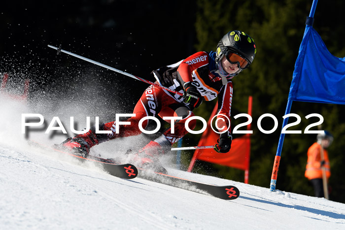 7. Ziener Cup WF + WFM, 05.03.2022