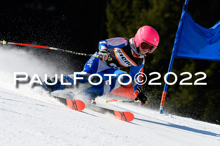 7. Ziener Cup WF + WFM, 05.03.2022