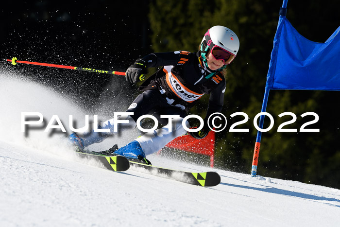 7. Ziener Cup WF + WFM, 05.03.2022