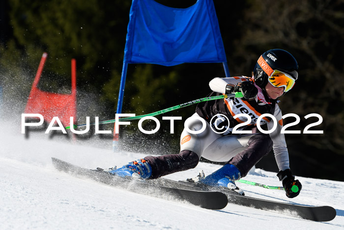 7. Ziener Cup WF + WFM, 05.03.2022