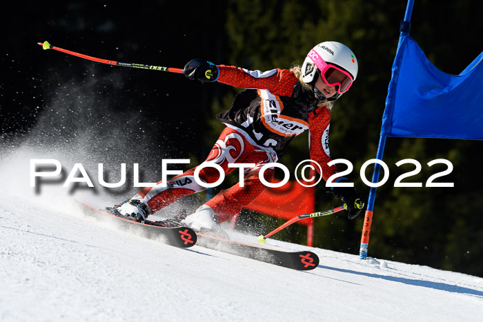 7. Ziener Cup WF + WFM, 05.03.2022