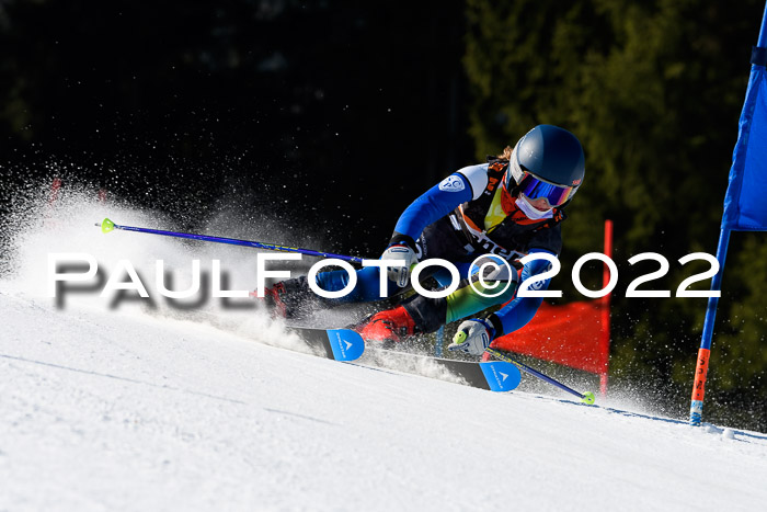 7. Ziener Cup WF + WFM, 05.03.2022