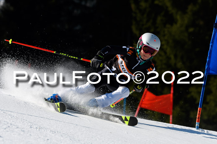 7. Ziener Cup WF + WFM, 05.03.2022