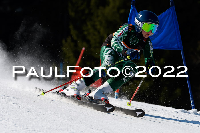 7. Ziener Cup WF + WFM, 05.03.2022