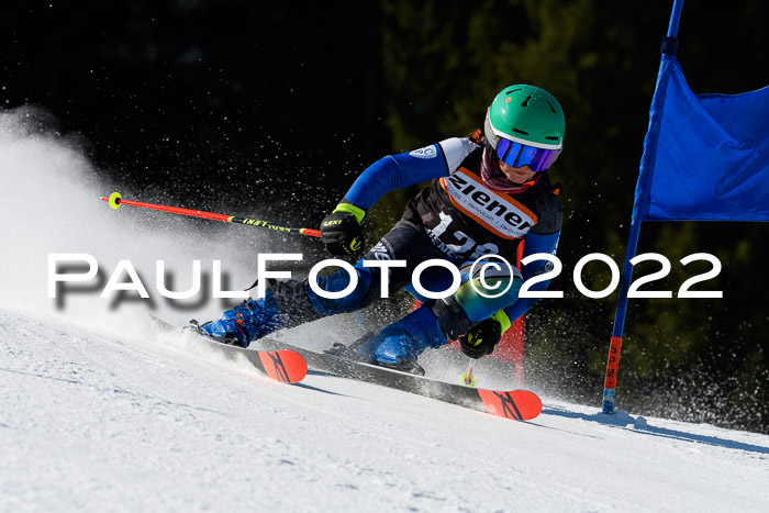 7. Ziener Cup WF + WFM, 05.03.2022