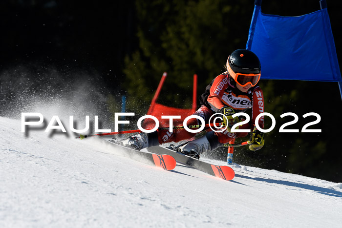 7. Ziener Cup WF + WFM, 05.03.2022
