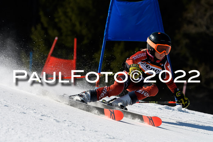 7. Ziener Cup WF + WFM, 05.03.2022