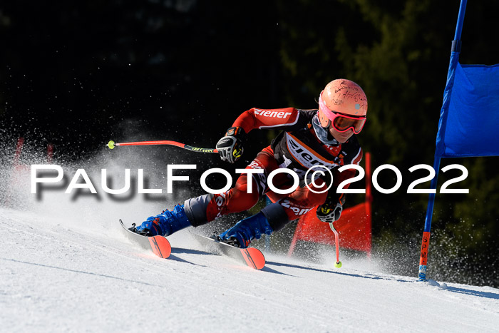 7. Ziener Cup WF + WFM, 05.03.2022
