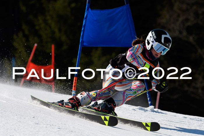 7. Ziener Cup WF + WFM, 05.03.2022