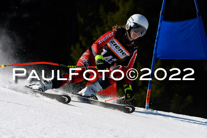 7. Ziener Cup WF + WFM, 05.03.2022