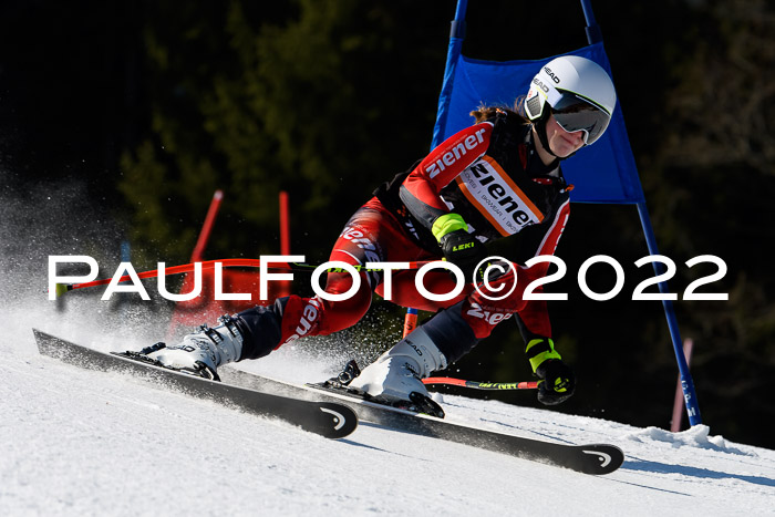 7. Ziener Cup WF + WFM, 05.03.2022