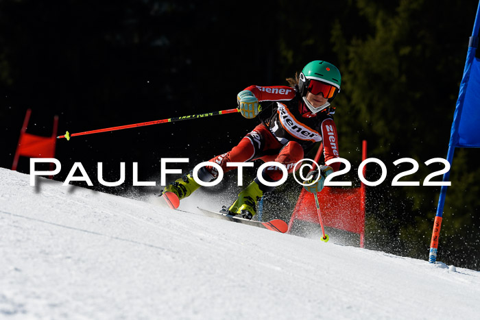 7. Ziener Cup WF + WFM, 05.03.2022