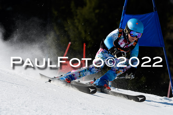 7. Ziener Cup WF + WFM, 05.03.2022