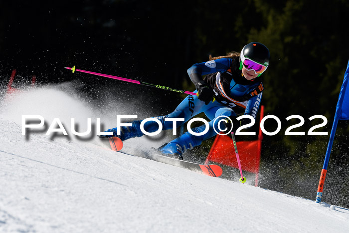 7. Ziener Cup WF + WFM, 05.03.2022