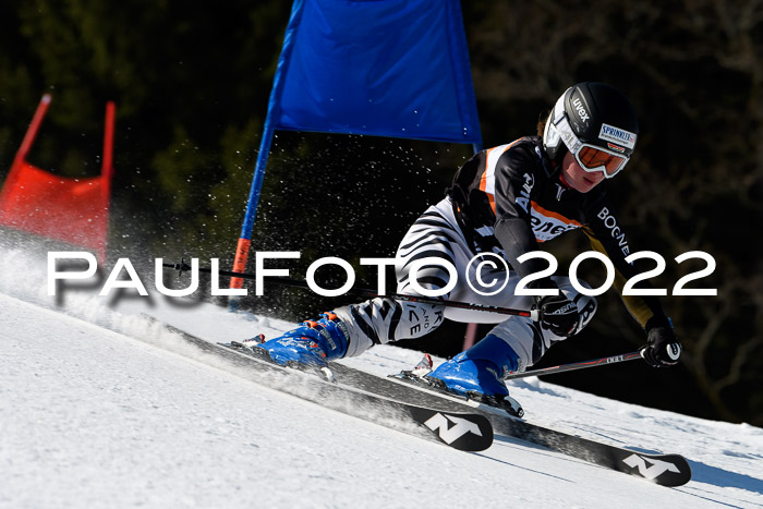 7. Ziener Cup WF + WFM, 05.03.2022