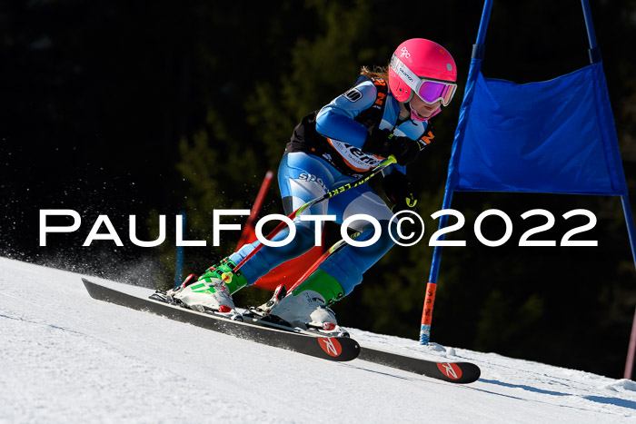 7. Ziener Cup WF + WFM, 05.03.2022